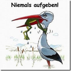 134638785_5717176_121787894