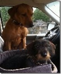 GetAttachment Georg und Ira