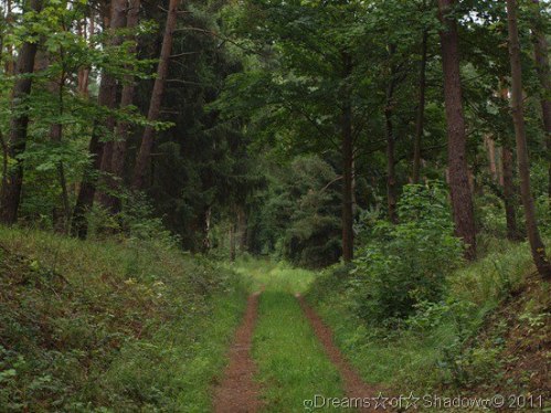 533596_431117173619379_903885108_n