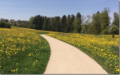 thumbnail_40f2fece-2f05-4ff5-9f9c-cf19e0cbaf80